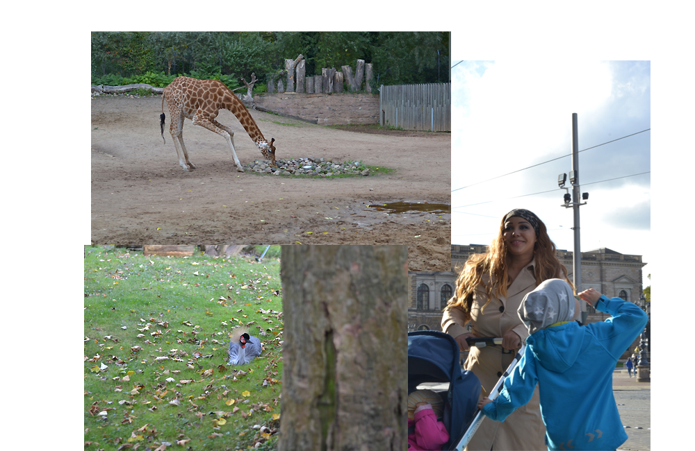 Dresdner Zoo